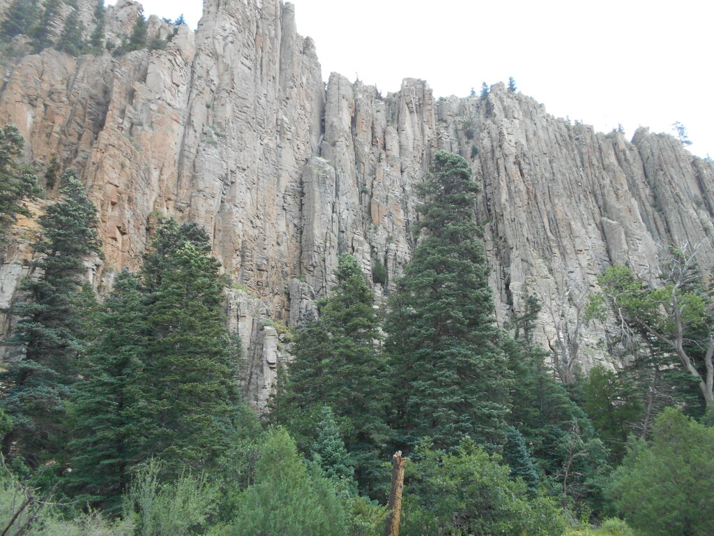 A magnificent cliff-face of grey and ochre rock, with tall pines in front of it.